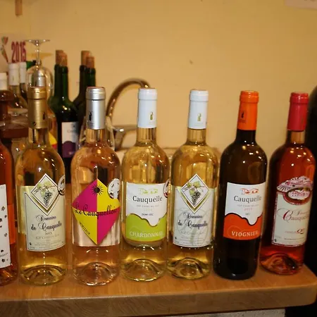 La Perle Du Lot 3* Castelnau-Montratier