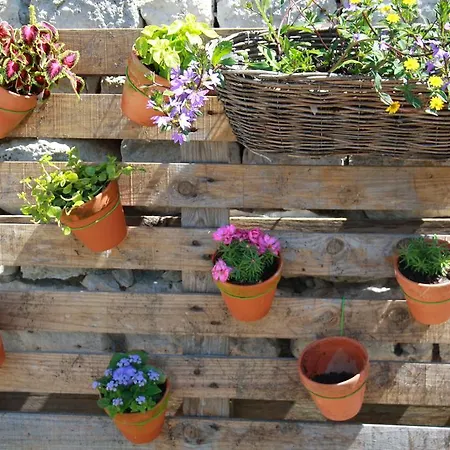 La Perle Du Lot Bed & Breakfast