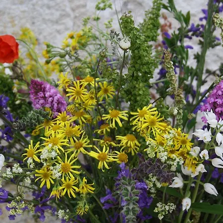 La Perle Du Lot Bed & Breakfast 3*