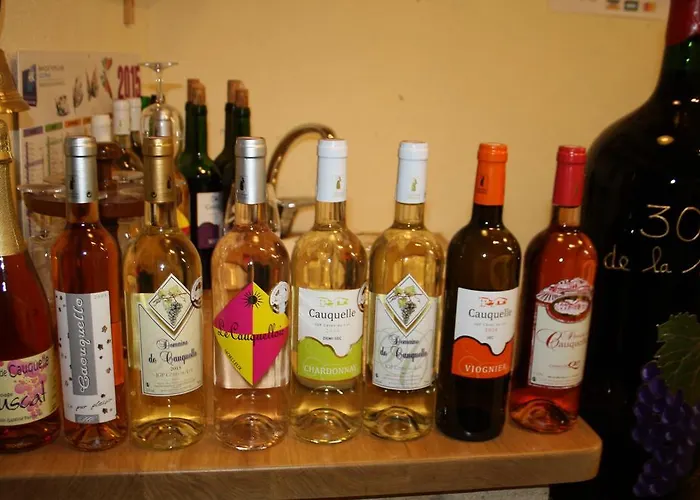 La Perle Du Lot 3* Castelnau-de-Montratier